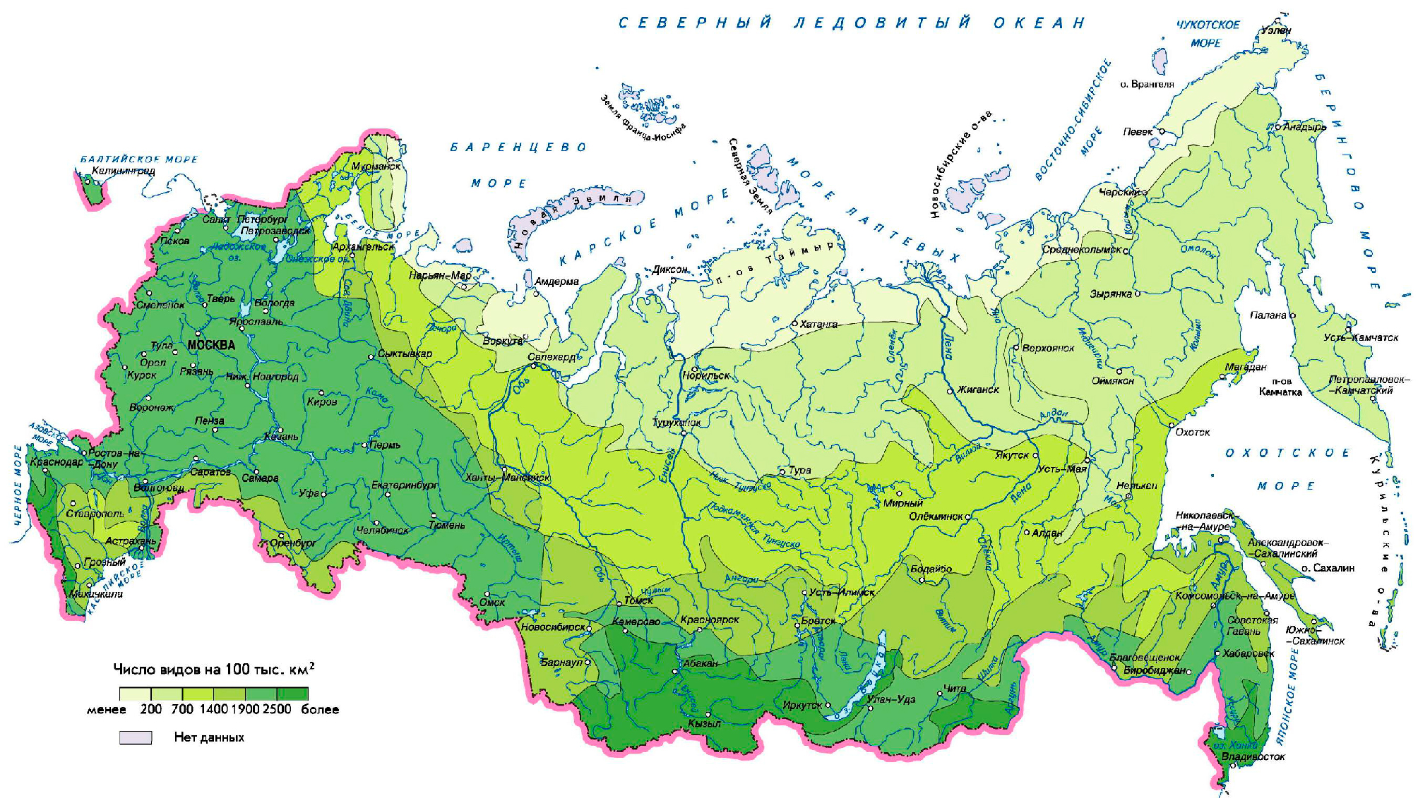 Карта лесов РФ