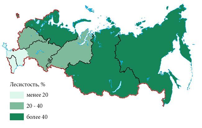 Лесные Богатства России Реферат